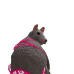 @MagicalCam2020
