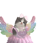 @ChasetheRainbow_234