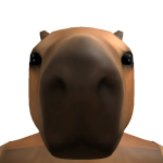 yes