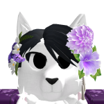 @Tewoh_Cat
