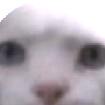 @ctjtdytdyjf