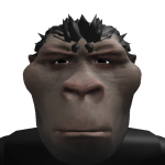 @XxliongamerboomxX