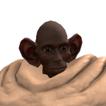 @Karpacza123