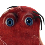 @rottenhrt