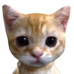 @woofygold1