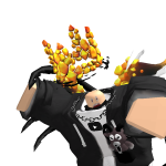 @punicalenten