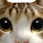 @123456789102324