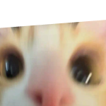 @itpotatoyournext