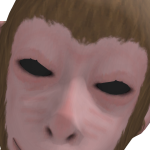 @tacolovercat7