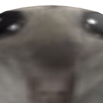 @hutato
