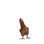 @Mauricitoyoutube