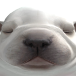 @Brozipan
