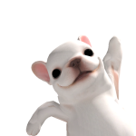 @meowhaishlight