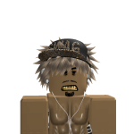 @roblox_user_2288571008