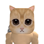 @andy_4578