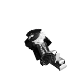 Papoi