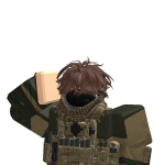 @1_armypenguin