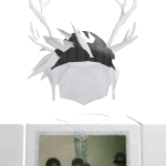 @faevnl