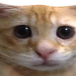 @bridaylol