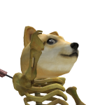 @h0oky