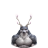 Kyoeo
