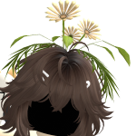 @SunrisRoblox_9922