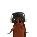 @bean2101