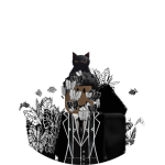 BraeBrae