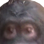 @imicemanXR