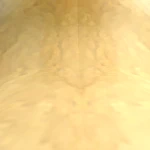 olivehotbuny's avatar