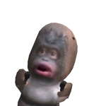 @piettrogamer59a