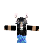 @MLTC_NPC