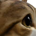 @Mbcat4