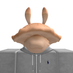 @Jax_rbxm