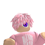 @sillysally456hack