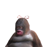 @Ran0m_jus4fun