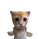 @1iterallyAmy