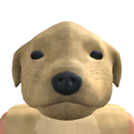@doggydood13