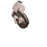 @smr097