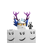 @asem501