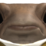 @STEthan57