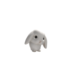 @IIIR3H4BIII