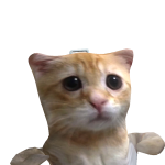 @Littlepeachice17