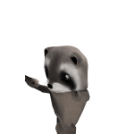 @batcharlesz