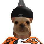 @zeroxdog980