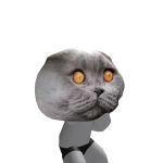 @Ozon_mema