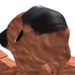 @V01DC0REZ