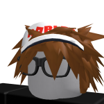 @robloxian190291029