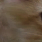 @ruby123unicorncat2
