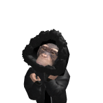 @ZV1BE4